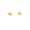 Born To Sparkle Earrings | 18K Gold Dipped